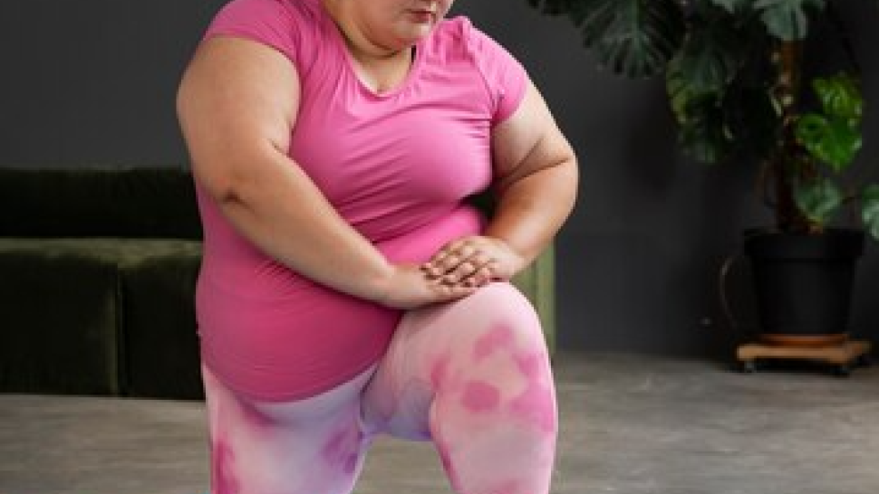 Obésité et inflammation mécanismes et implications thérapeutiques