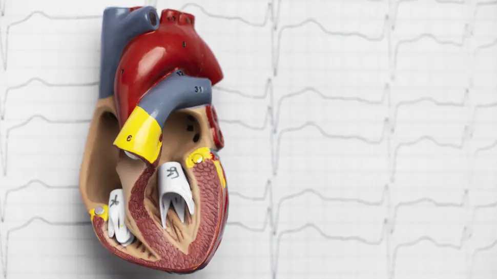 Prévention Primaire des Maladies Cardiovasculaires : Une Réflexion Basée sur une Expérience Personnelle et le Rôle Clé du Coro Scanner